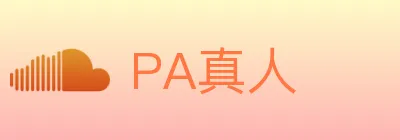 PA真人 logo